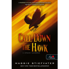 Könyvmolyképző Kiadó Call Down the Hawk - A sólyom Nyomában - Álmodok-trilógia 1. regény