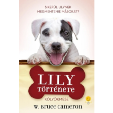 Könyvmolyképző Lily története gyermek- és ifjúsági könyv