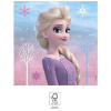 KORREKT WEB Disney Frozen II Wind Spirit, Disney Jégvarázs szalvéta 20 db-os 33x33 cm FSC