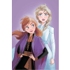 KORREKT WEB Disney Jégvarázs Purple mikroflanel takaró 100x150cm