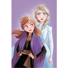 KORREKT WEB Disney Jégvarázs Purple mikroflanel takaró 100x150cm lakástextília
