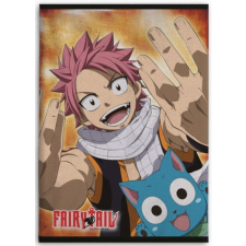 KORREKT WEB Fairy Tail polár takaró 100x140cm lakástextília
