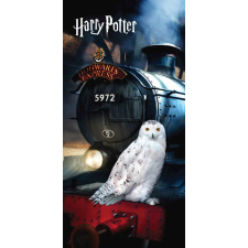 KORREKT WEB Harry Potter Hedwig fürdőlepedő, strand törölköző 70x140cm lakástextília