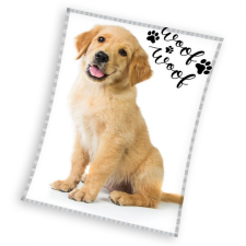 KORREKT WEB Kutyás Golden Retriever polár takaró 150x200cm lakástextília
