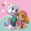 KORREKT WEB Paw Patrol Skye and Everest, Mancs Őrjárat szalvéta 20 db-os