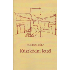 KORTÁRS KIADÓ Küszködni lettél irodalom