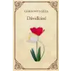 Kossuth Dávidkáné - Az a hatalmas harmadik - Az öreg tekintetes