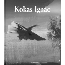 Kossuth Kokas Ignác életrajz