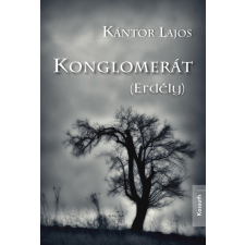 Kossuth Konglomerát (Erdély) társadalom- és humántudomány