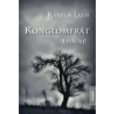 Kossuth Konglomerát (Erdély) egyéb e-könyv
