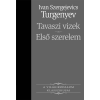 Kossuth Tavaszi vizek, Első szerelem