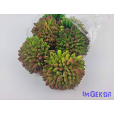  Kövirózsa gumis pozsgás 9 cm Dús gombóc - Narancsos dekorációs kellék