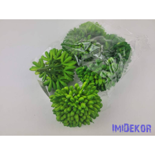  Kövirózsa gumis pozsgás 9 cm Dús gombóc - Zöld dekorációs kellék