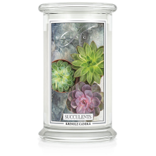 Kringle Candle Succulents nagy 2 kanócos illatgyertya (624 g), gyertya