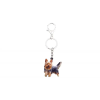  Kulcstartó Yorkshire terrier 2