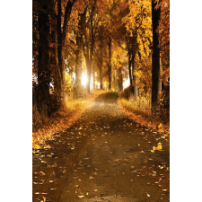 KulPress Vinyl háttér fotózáshoz. Őszi fotó háttér 150X210 cm gc-3225 háttérkarton