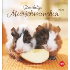  Kuschelige Meerschweinchen Postkartenkalender 2027 – Oliver Giel (Naptár) naptár, kalendárium