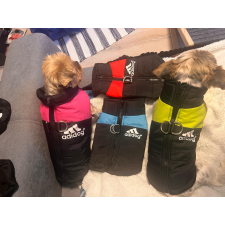  Kutyaruha - Adidog mellény pórázakasztóval - S-5XL - 3XL - kék kutyaruha