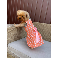  Kutyaruha - Dívatos és könnyű ruha barack színben fehér pöttyökkel és masnival - XS kutyaruha