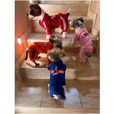  Kutyaruha - Egyberészes overál - overall - kutyamelegítő szett - többféle színben - M - kék kutyaruha