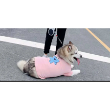  Kutyaruha - Elmo mintás póló - S kutyaruha