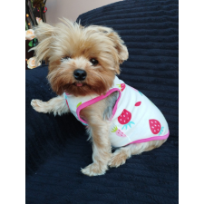  Kutyaruha - Fehér pamut trikó eper mintával - XL kutyaruha