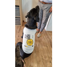  Kutyaruha - Fly High Feliratos, kosárlabdás mintával, cuki trikó - tökéletes nagy kutyáknak - 3XL kutyaruha