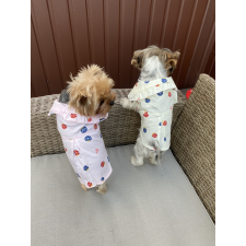  Kutyaruha - Kényelmes Stilusos Blúz - gomba mintával - kétféle színben - XL - rózsaszín alap kutyaruha