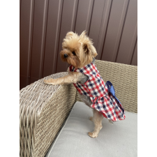  Kutyaruha - Kockás tüll szoknyás divatos ruha masnival - L kutyaruha