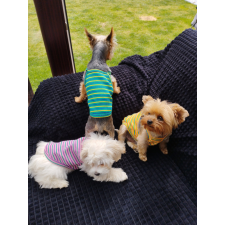  Kutyaruha - könnyed kutyatrikó - többféle színben - XL - rózsaszín csíkos kutyaruha