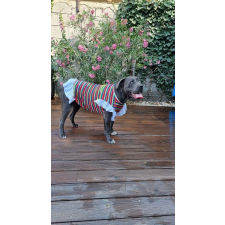  Kutyaruha - Könnyed ruha, színes csíkokkal, fodros gallérral és aljjal - Nagy kutyáknak! - 2XL kutyaruha