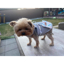  Kutyaruha - Könnyű, hálós anyagú trikó, hátul stílusos kistáskával - ezüst színben - XS kutyaruha