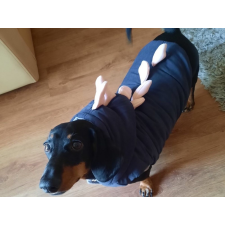  Kutyaruha - kutyakabát - kutyamellény - Dínós, bélelt, kapucnis, - többféle színben - XL - rózsaszín kutyaruha