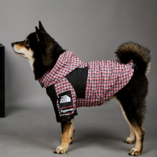  Kutyaruha - Kutyakabát - The Dog Face tépőzáras széldzseki - S - kék kutyaruha