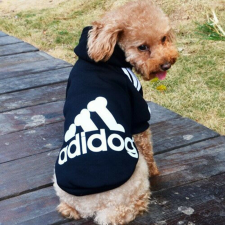  Kutyaruha - Kutyapulóver - Kutyapulcsi - Adidog Kapucnis pulcsi - Többféle színben - 8XL - rózsaszín kutyaruha