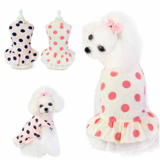  Kutyaruha - Pöttyös, Pamut ruha - kétféle színben - XL - fehér/rózsaszín pöttyös kutyaruha