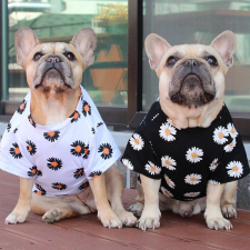  Kutyaruha - Rövidujjú, virágmintás kutyapóló - kétféle színben - S - fehér kutyaruha