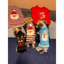  Kutyaruha - S-5XL Tèli meleg pulcsik - L - kék kutyaruha