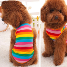  Kutyaruha - Szivárvány csíkos, nyári kutyatrikó - L kutyaruha