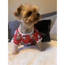  Kutyaruha - Télapó mintás karácsonyi vékony pulcsi - XL kutyaruha