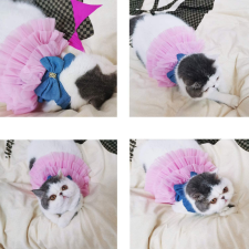  Kutyaruha - Vékony farmerruha masnival és tüllszoknával - XS kutyaruha