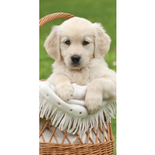  Kutyás fürdőlepedő, strand törölköző 70*140cm lakástextília