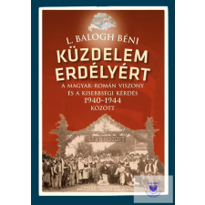 Küzdelem Erdélyért történelem