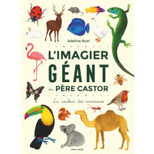  L'Imagier géant du Père Castor – Ruel idegen nyelvű könyv
