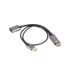 Lanberg AD-HD-DP-02 0,2 M HDMI A-típus (Standard) DisplayPort Ezüst