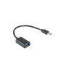 Lanberg USB-C apa - USB 2.0 anya Adapter