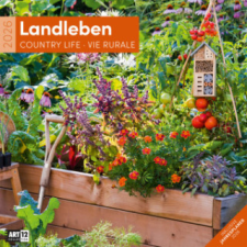  Landleben Kalender 2026 - 30x30 naptár, kalendárium