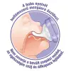 Lansinoh Lansinoh etetõcumi lassú folyású 2db