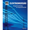 Laura Hennemann - Mi MICSODA - Elektromosság