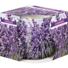 Lavender illatgyertya üvegpohárban, 100 g, 7,2 cm gyertya